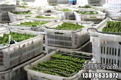 天津市韩家墅果蔬库